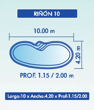 Riñon 10