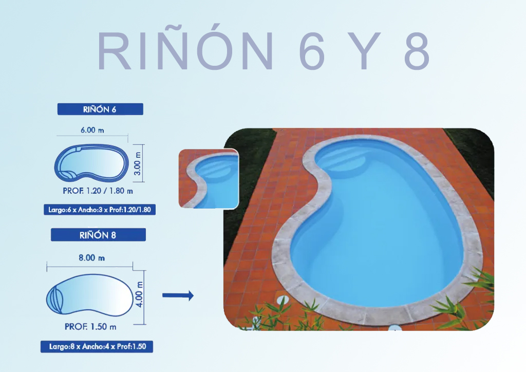 Riñon 6